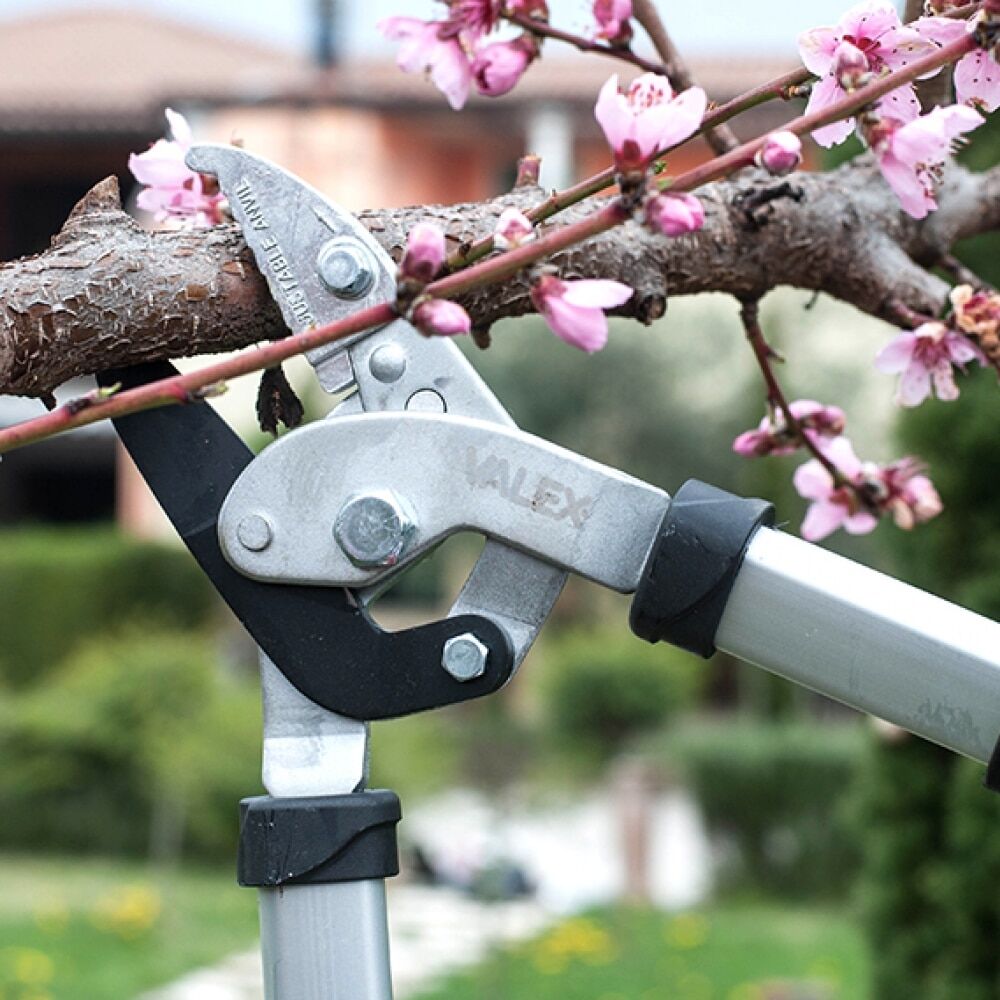 Ножици за клони Ножици за клони с телескопични дръжки
